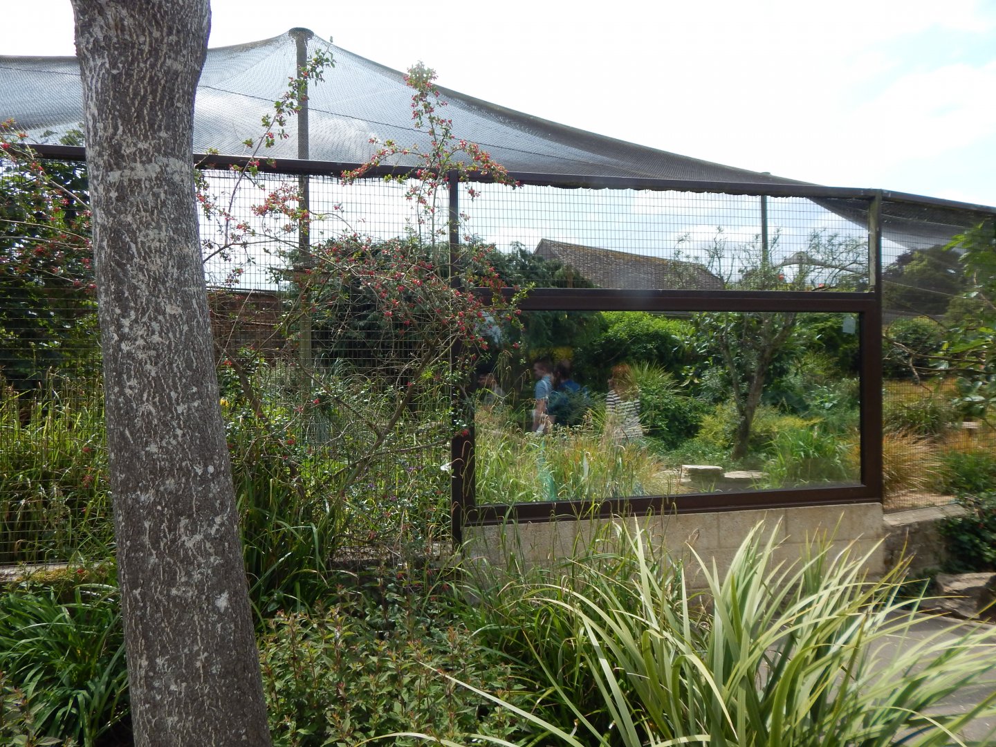 Walled Garden - Large mixed aviary 310525