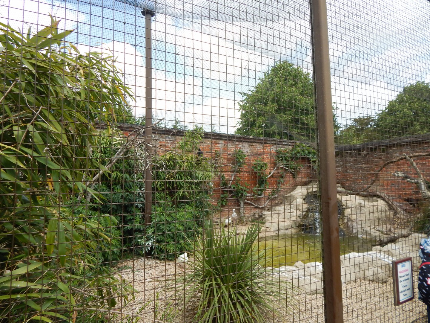Walled Garden - Large wading bird aviary 310525