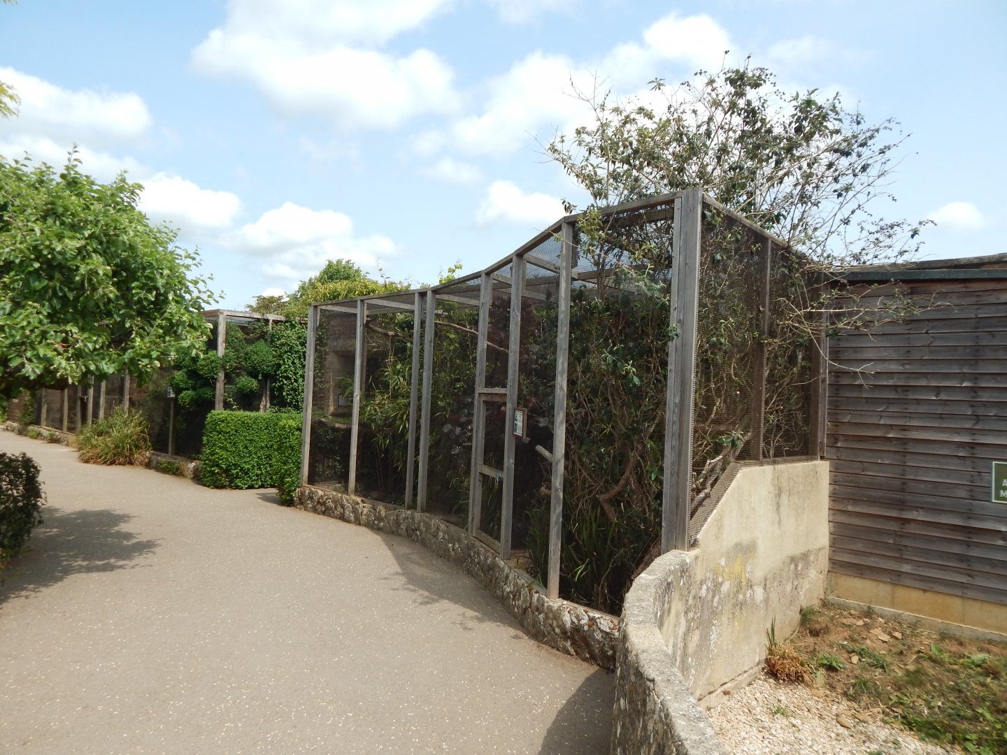 Walled Garden - Laughing kookaburra aviary 310525