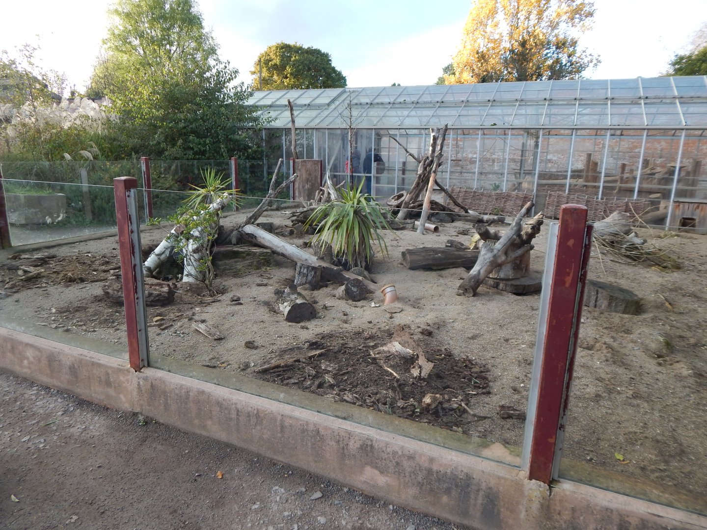 Walled Garden - Meerkat enclosure 051123