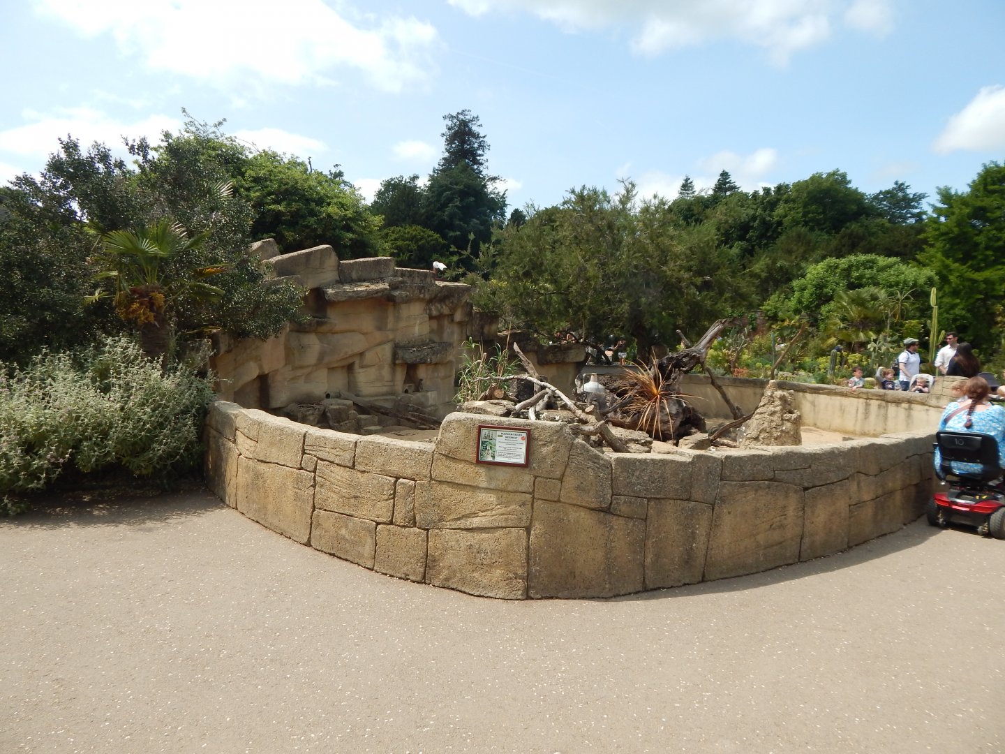 Walled Garden - Meerkat enclosure 310525