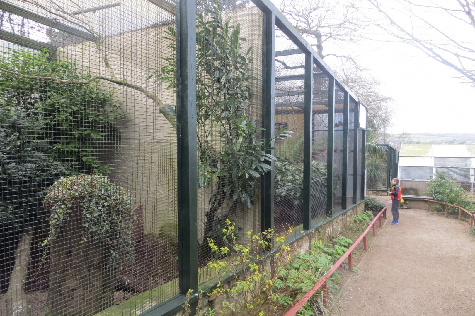 Walled Garden mixed aviaries 190219