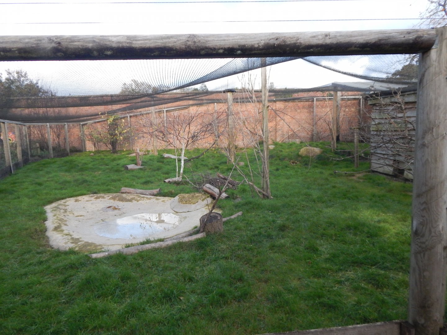 Walled Garden mixed aviary 051123