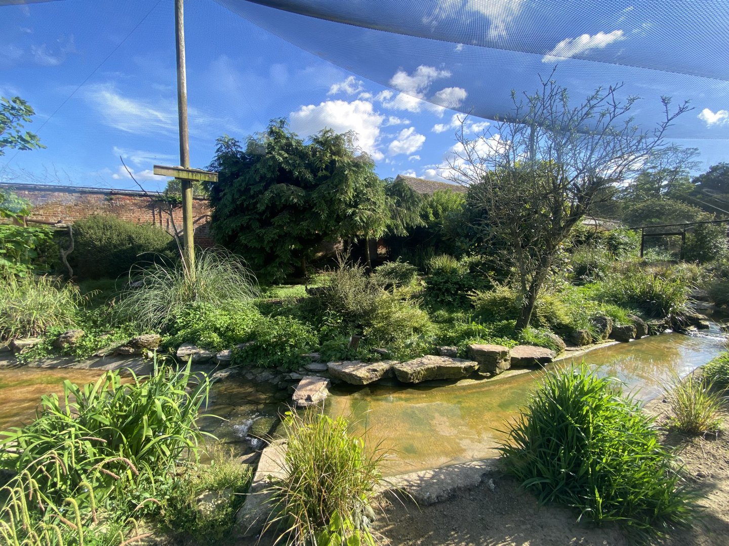 Walled Garden mixed aviary 150524