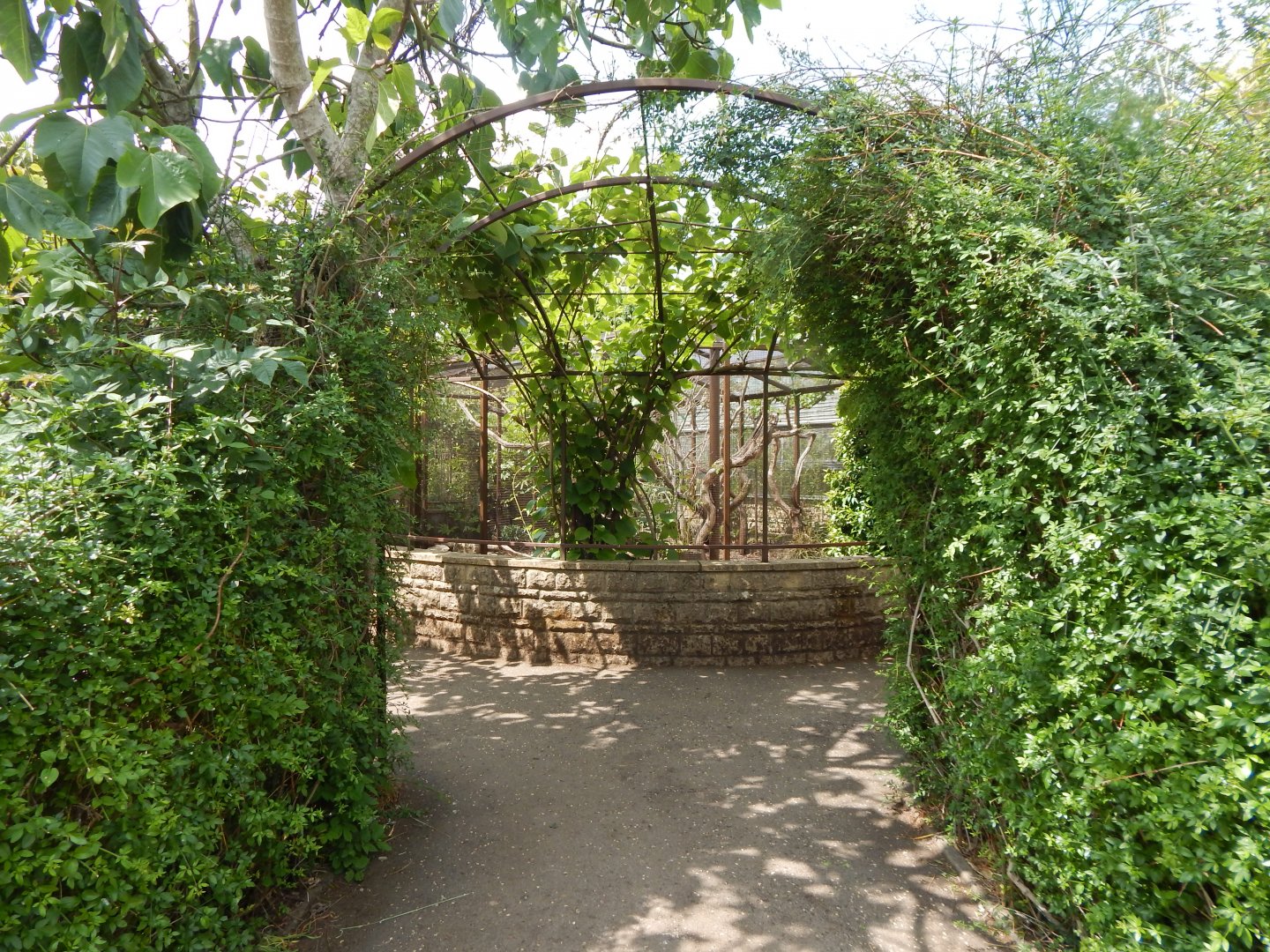 Walled Garden - Mixed aviary 310525