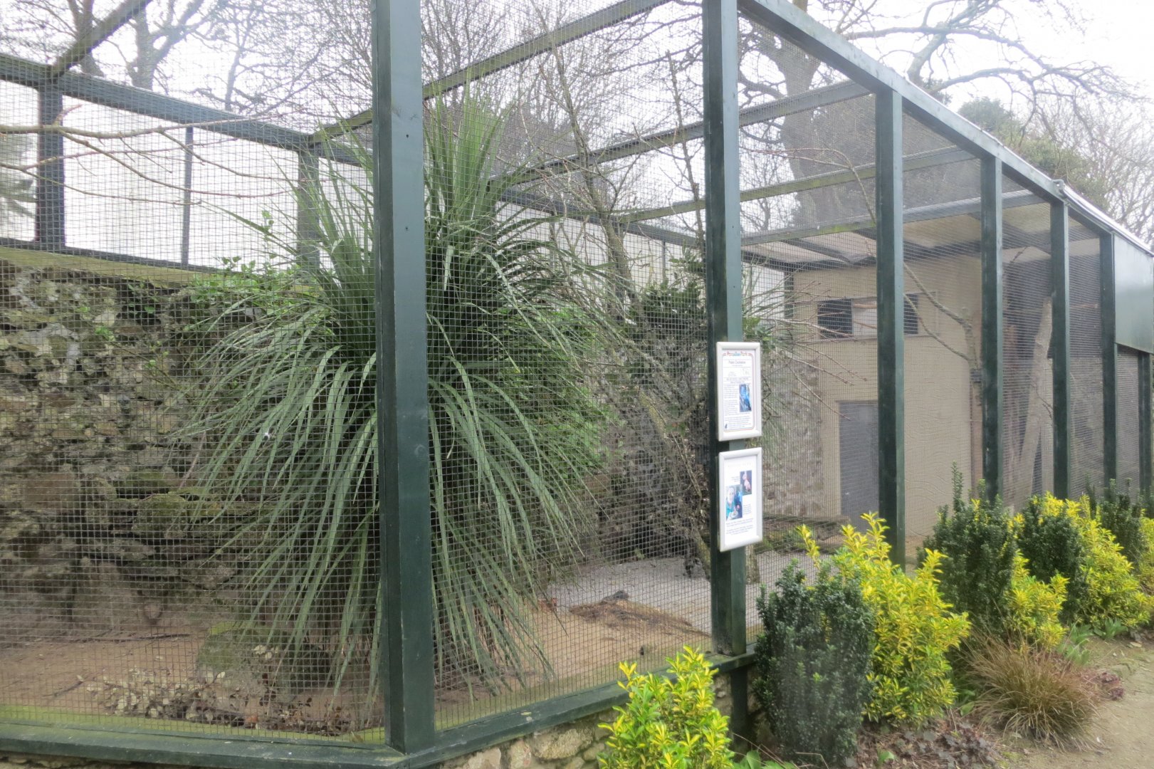Walled Garden - Palm cockatoo aviary 190219