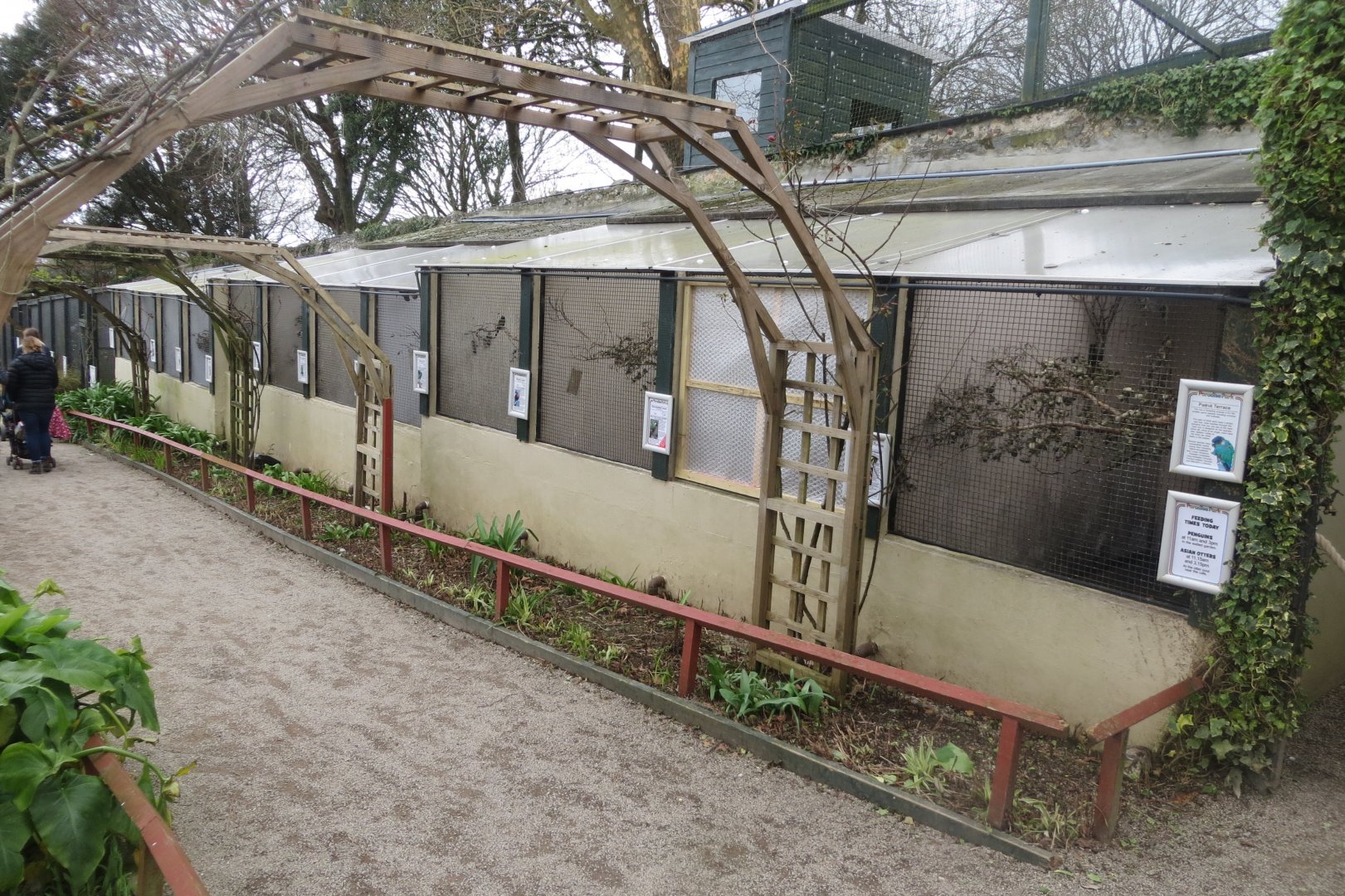 Walled Garden - Parrot aviaries 190219