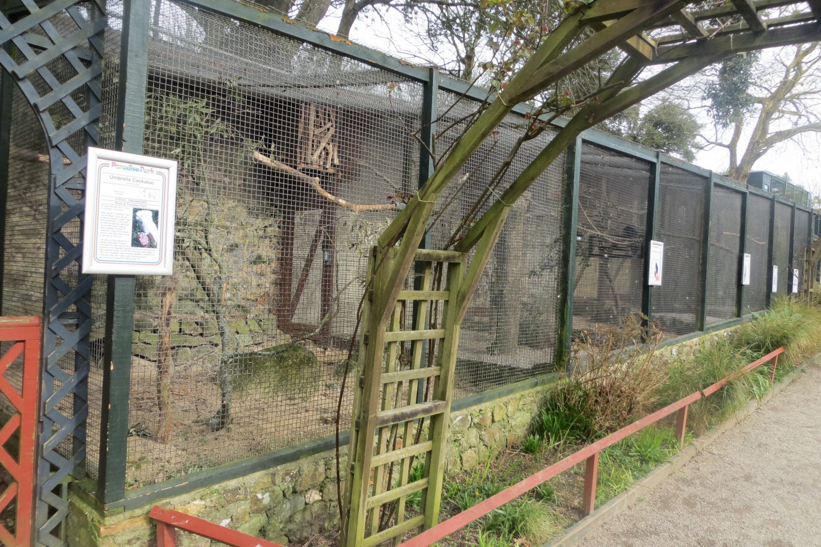 Walled Garden - parrot aviaries 190219