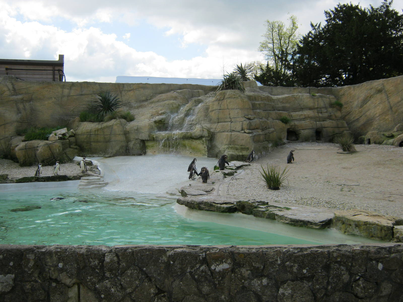 Walled Garden Penguin enclosure
