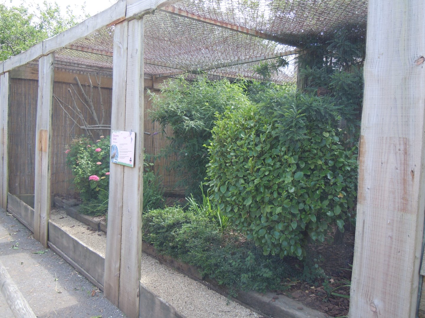 Walled Garden - Socorro dove aviary 290620