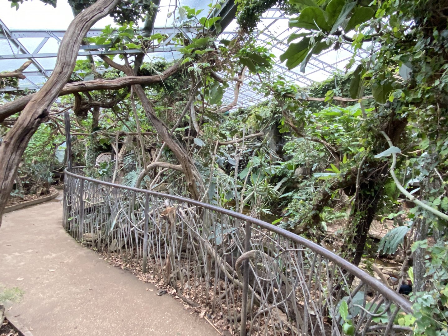 Walled Garden - Tropical House 280222