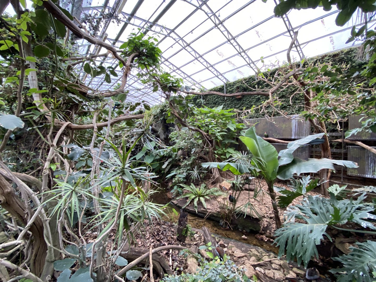 Walled Garden - Tropical House 280222