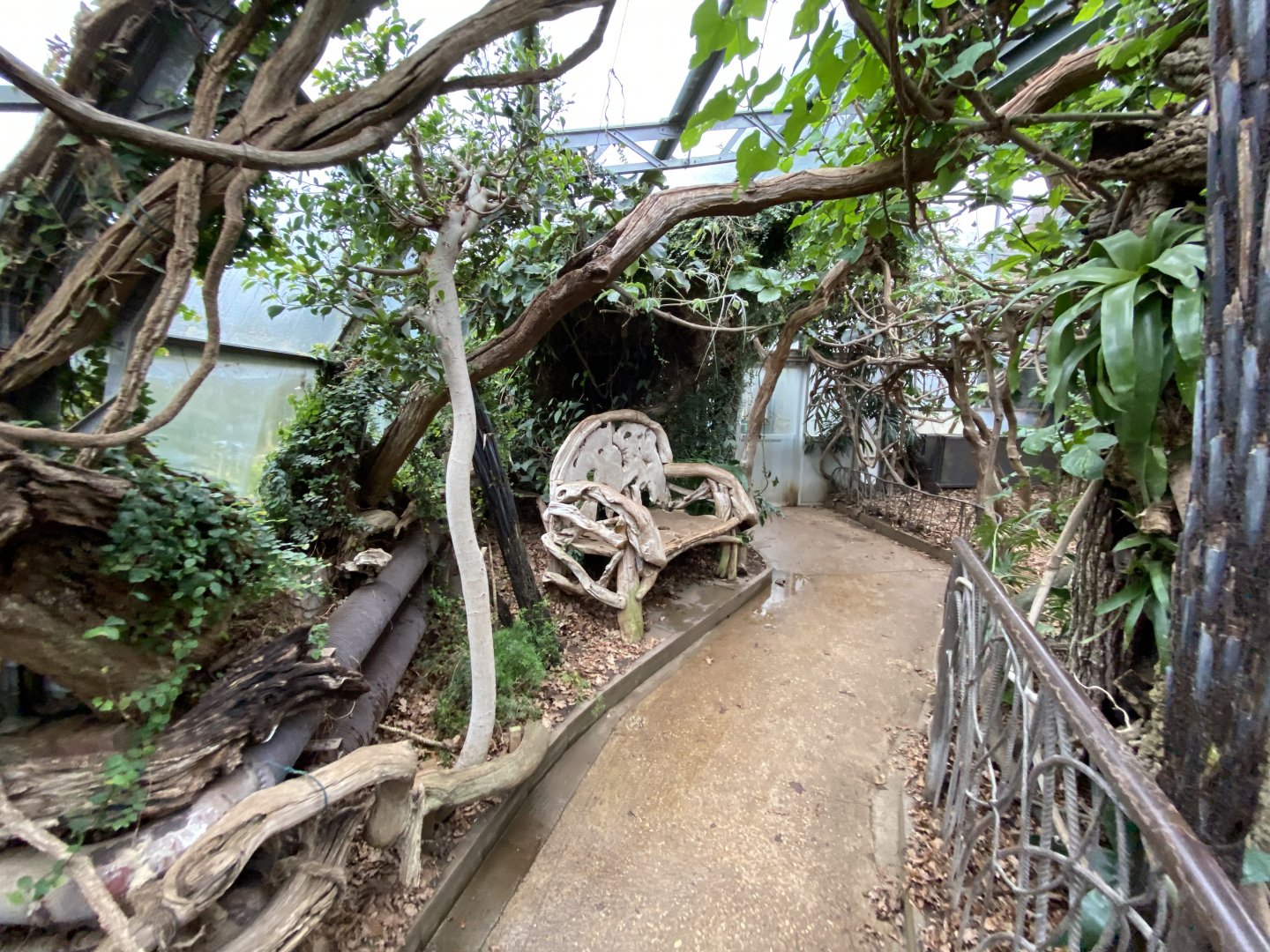 Walled Garden - Tropical House 280222