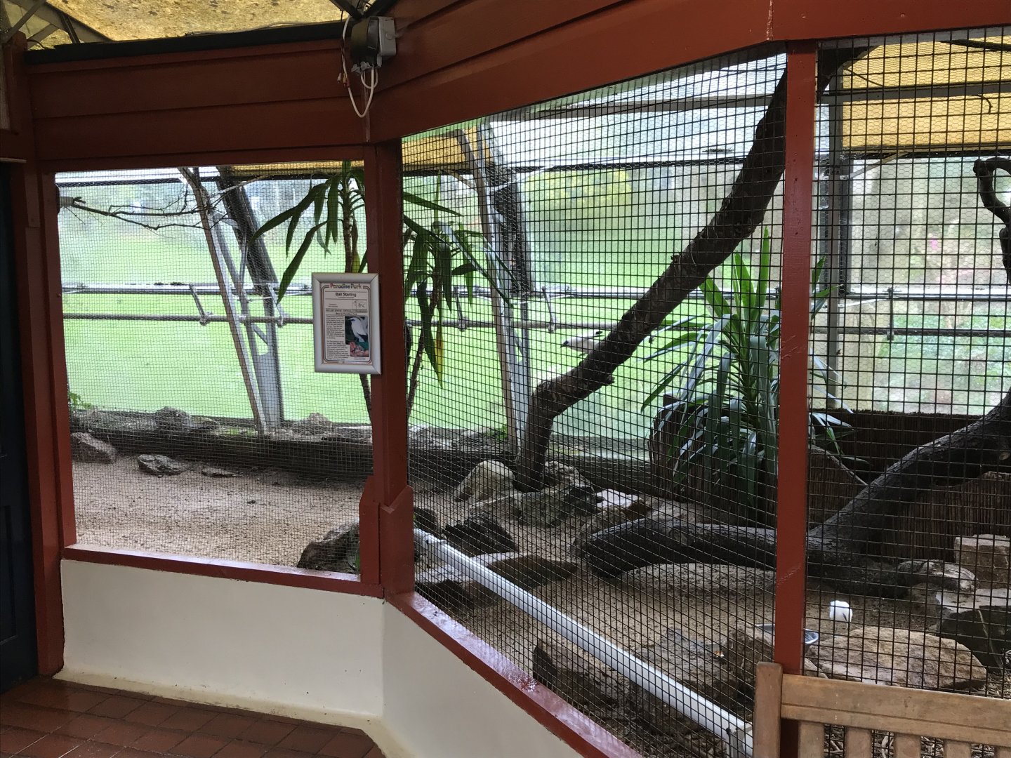 Walled Garden Tropical House aviary 190219