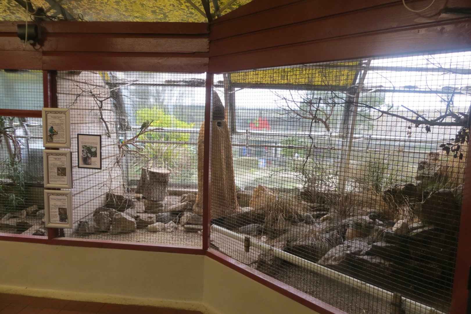 Walled Garden Tropical House aviary 190219