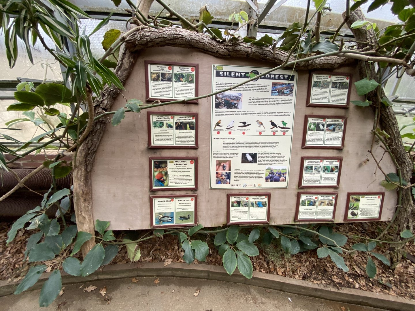 Walled Garden - Tropical House signage 280222