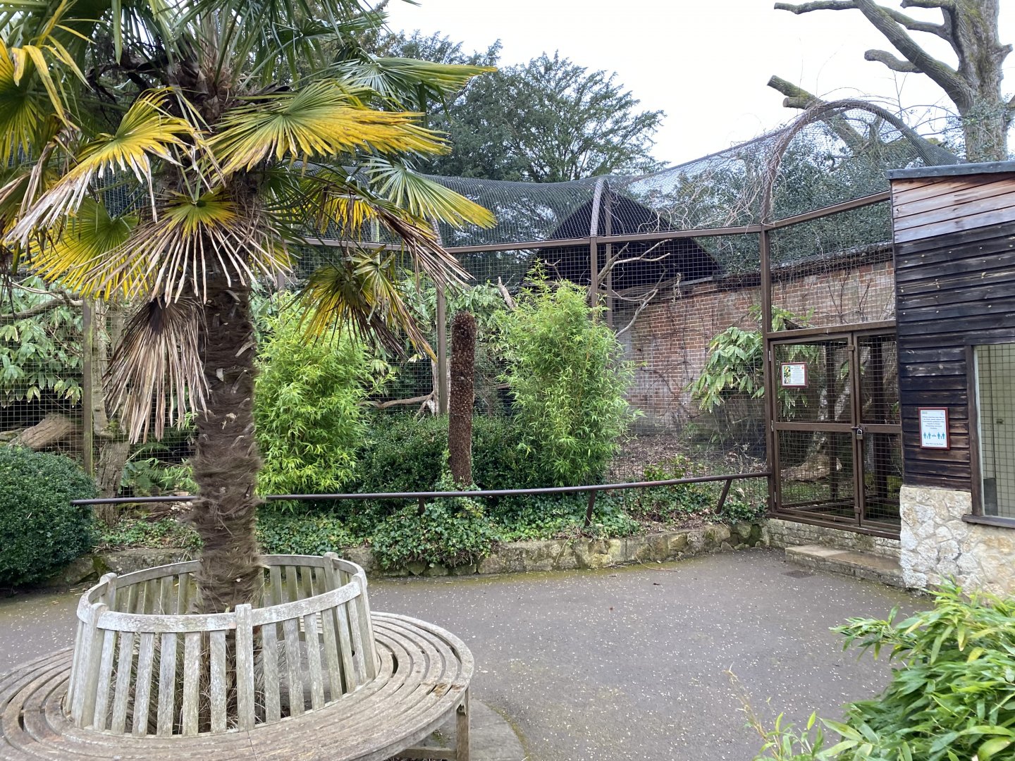 Walled Garden - Tropical House - Wrinkled hornbill aviary 280222