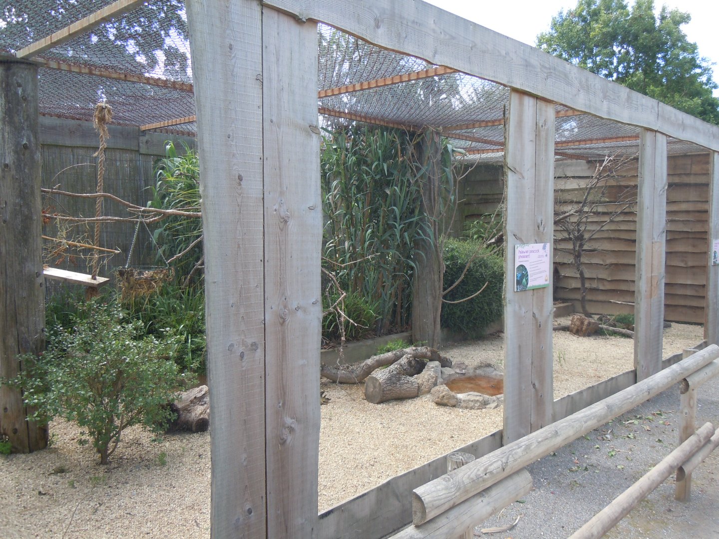 Walled Garden - Visayan tarictic hornbill aviary 290620
