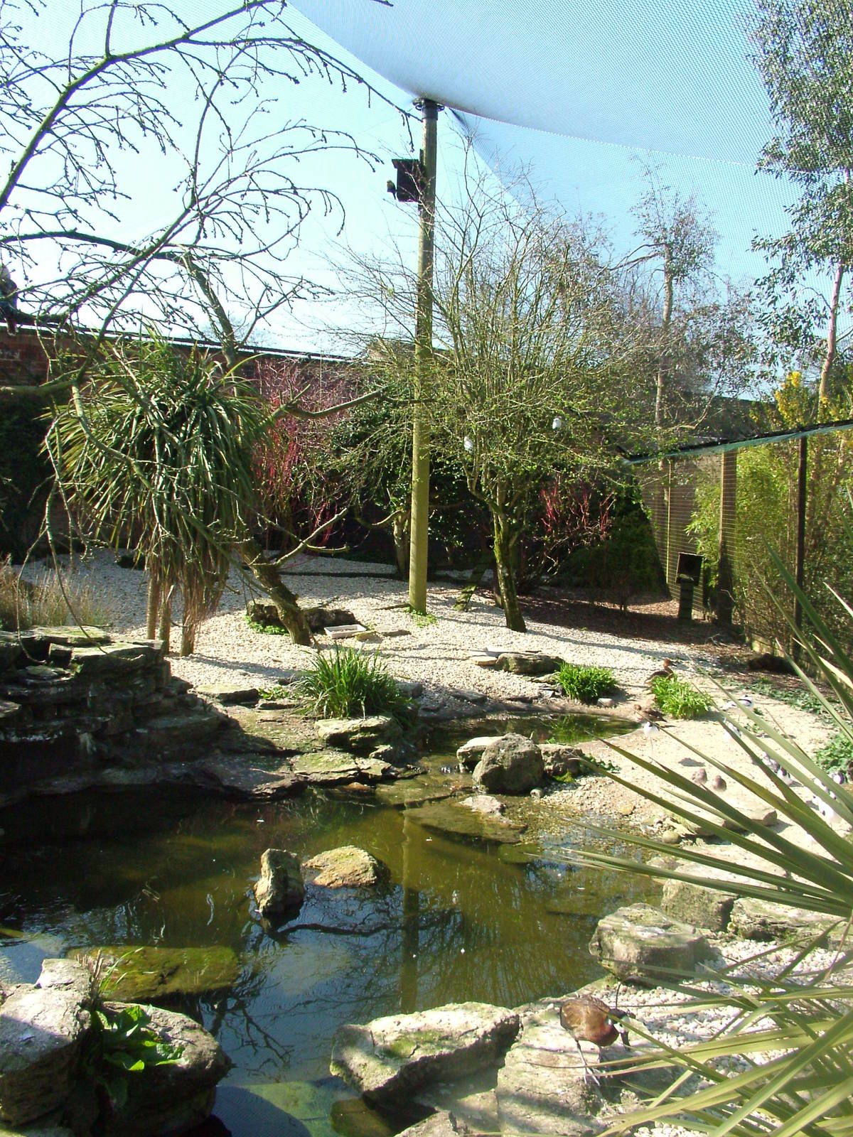 Walled Garden Walk-through Aviary at Cotswold WP 17/04/10