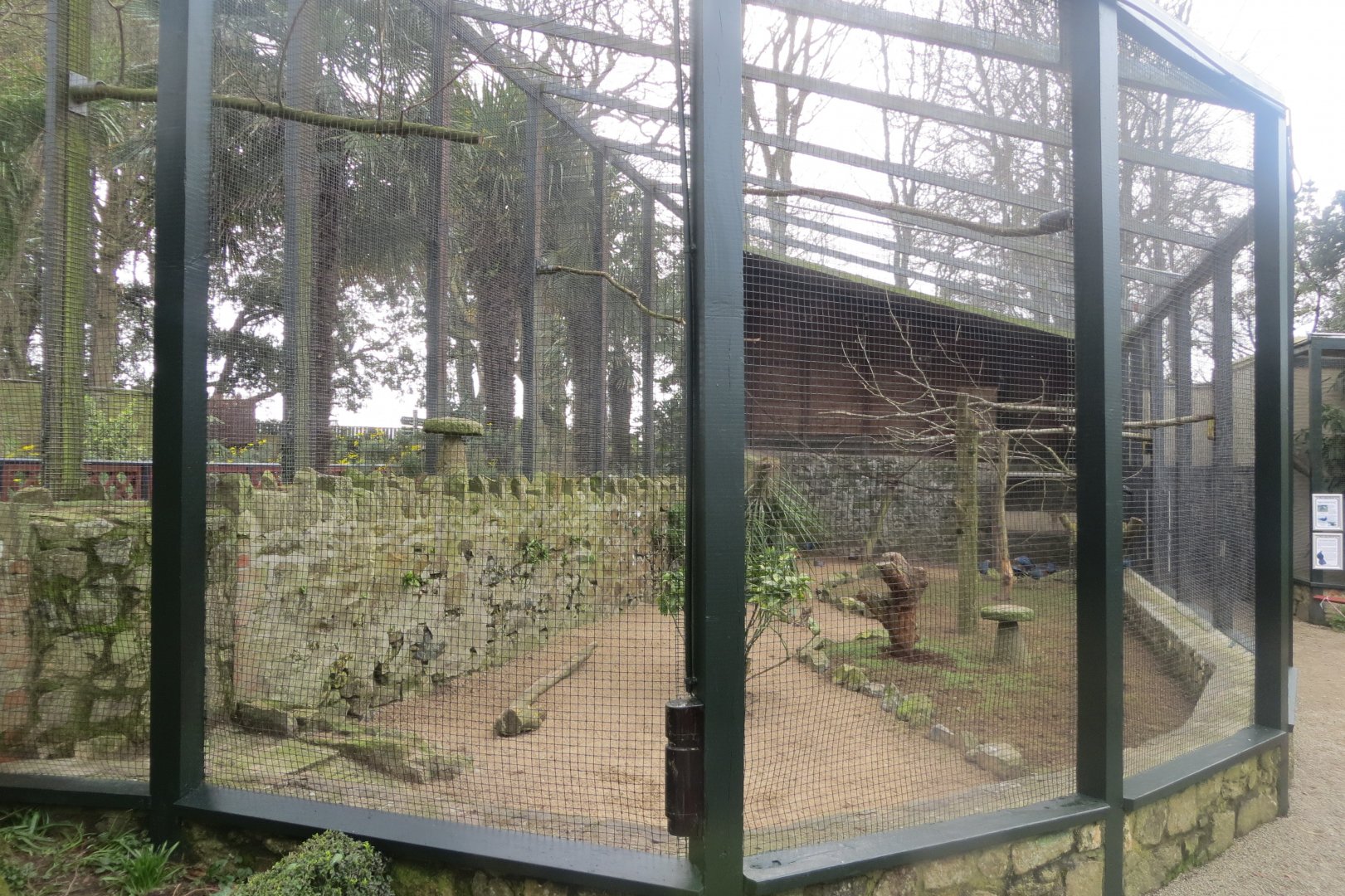 Walled Garden - Western swamphen aviary 190219