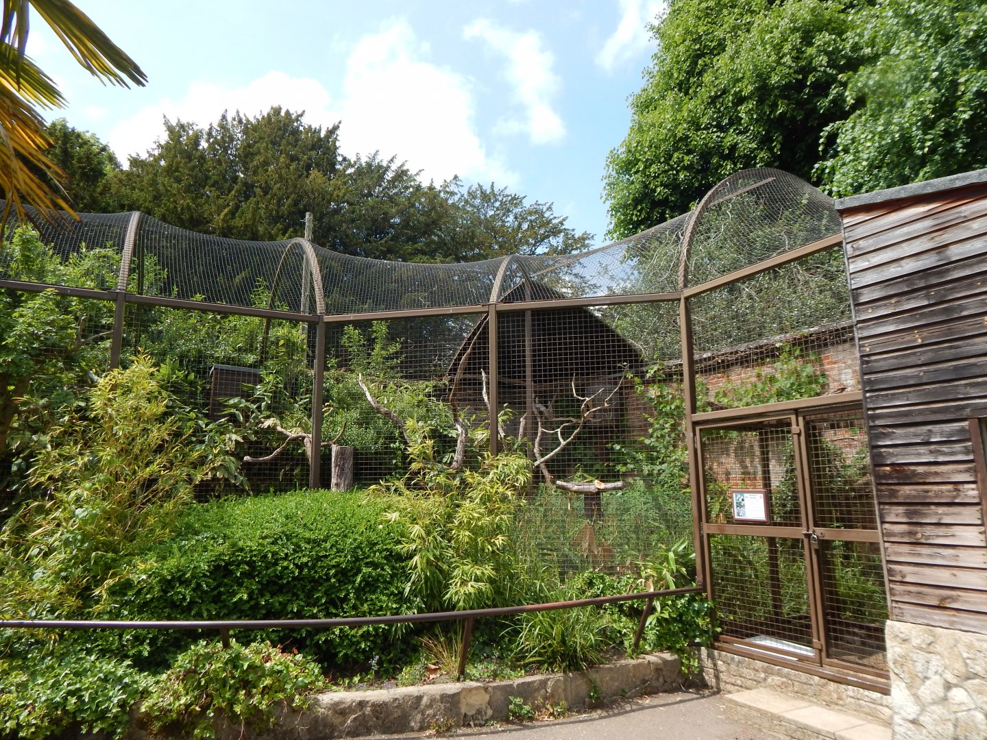 Walled Garden - Wrinkled hornbill aviary 310525