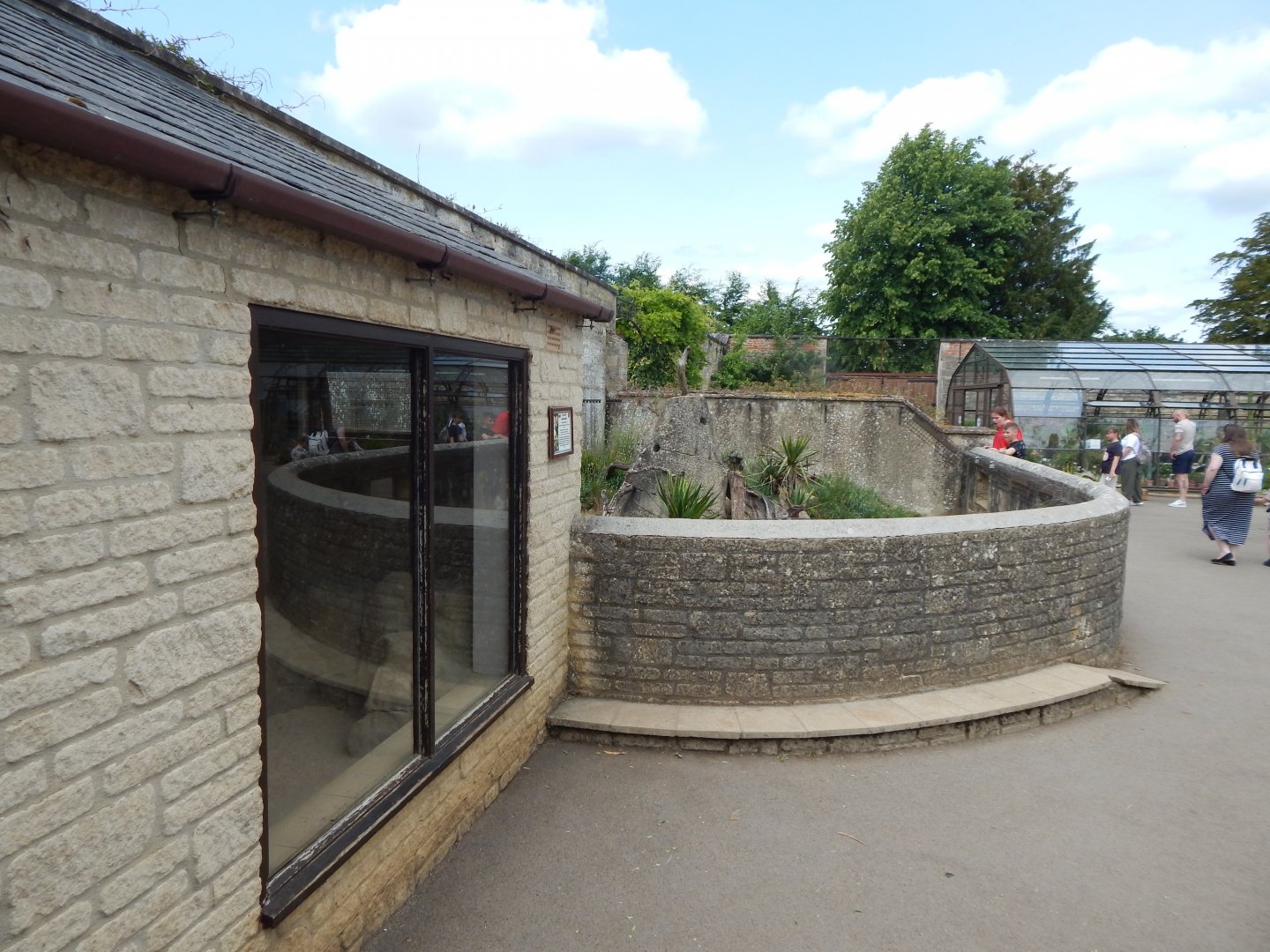 Walled Garden - Yellow mongoose enclosure 310525