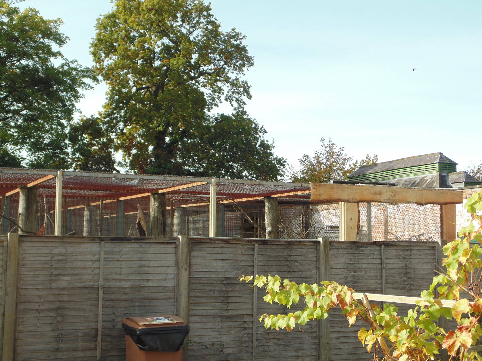 Walled Gardens Aviary Renovation (Currently Off-Show)