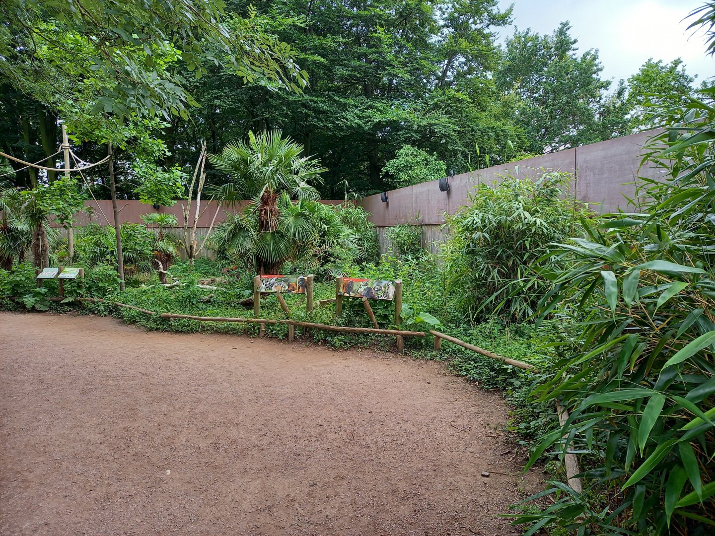 Walls and signs Lemur Walk-through enclosure