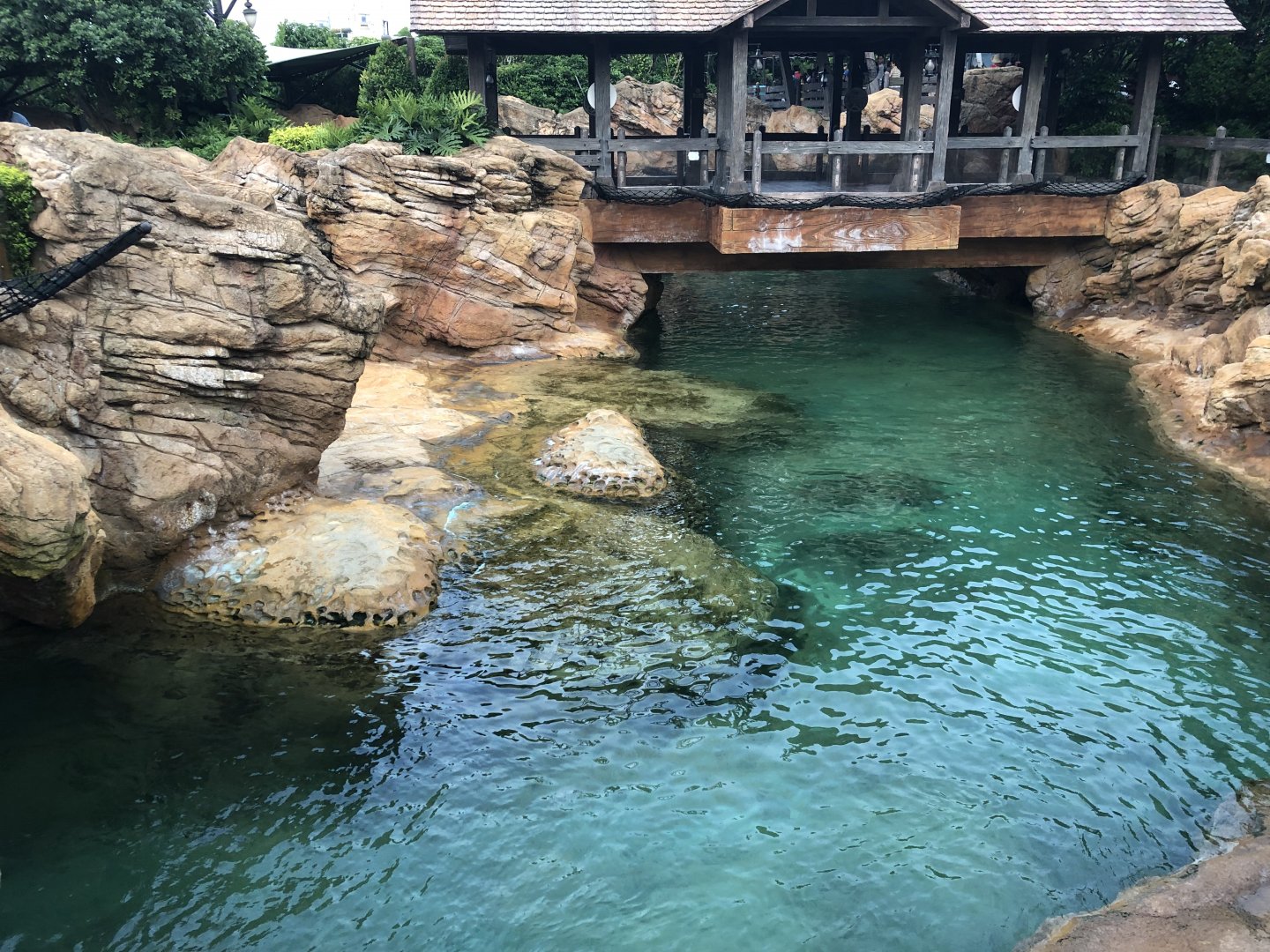 Walrus & California Sea Lion Exhibit