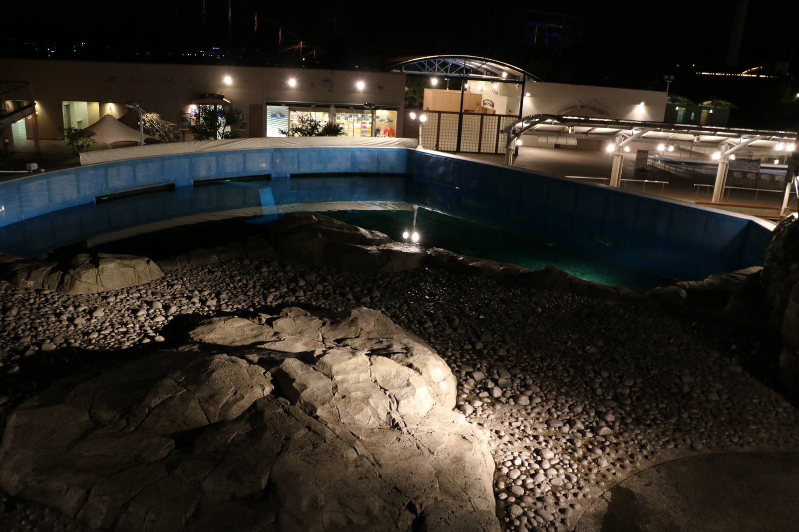 Walrus enclosure, February 2016