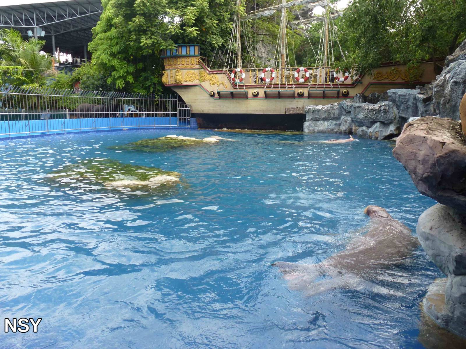 Walrus enclosure, June 2013.