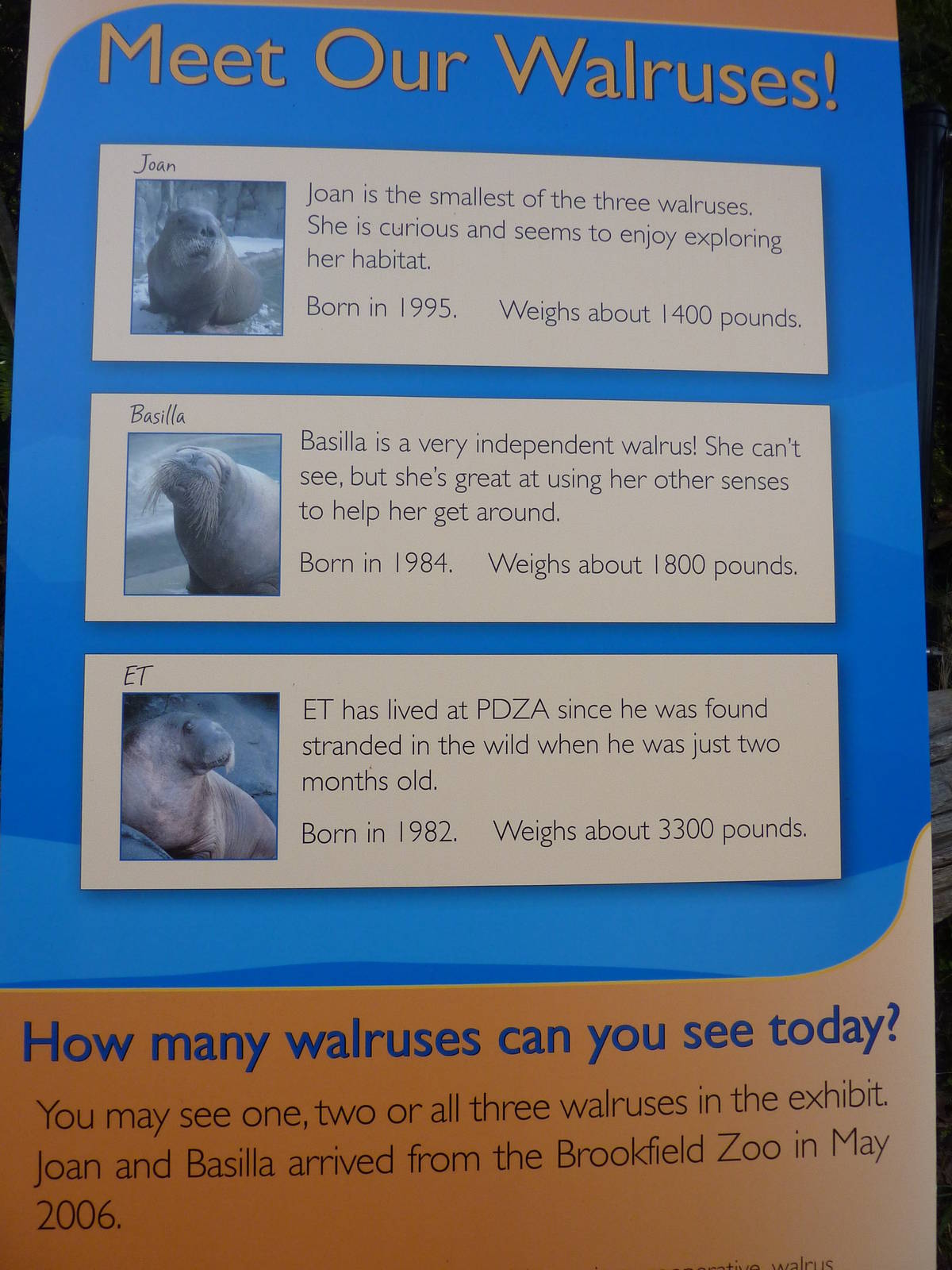 Walrus Exhibit - Sign