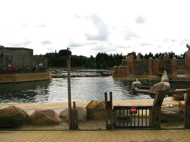 Walrus Exhibit