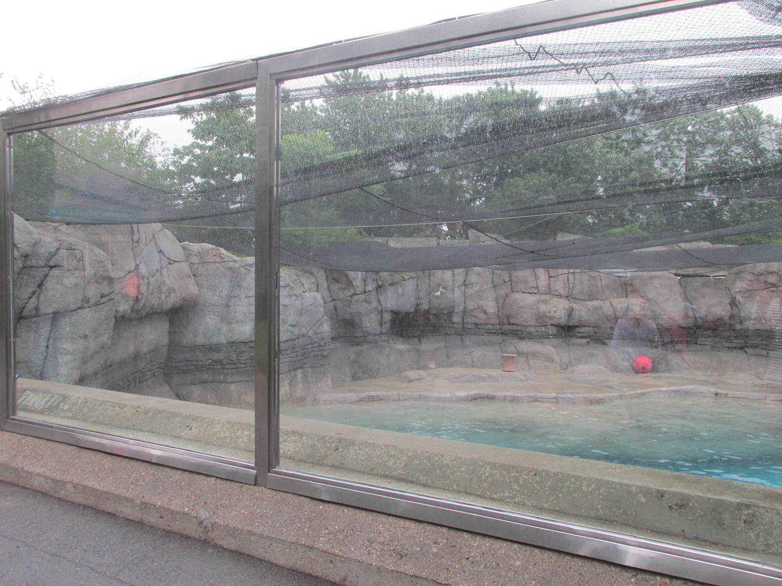 Walrus Exhibit