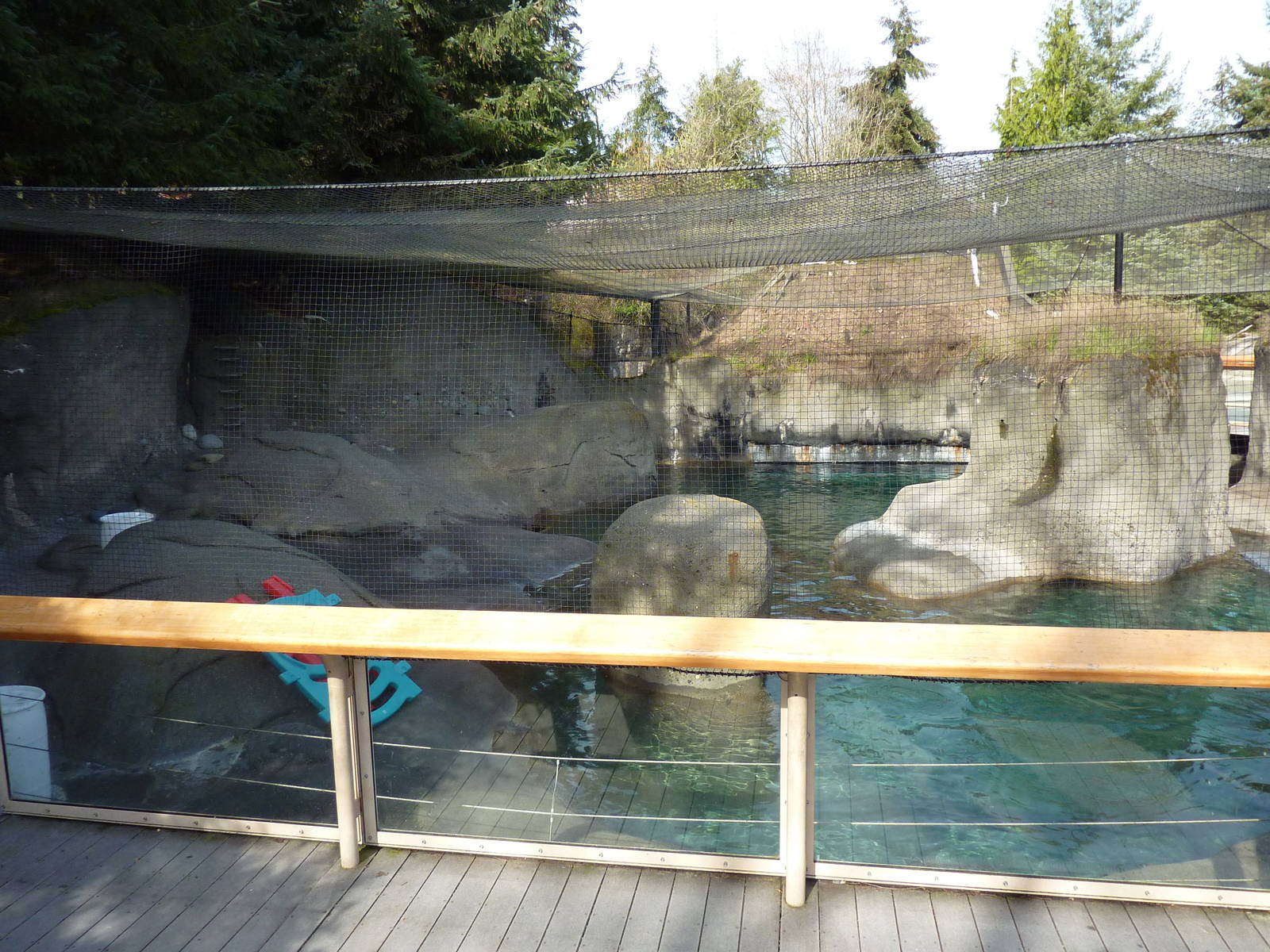 Walrus Exhibit