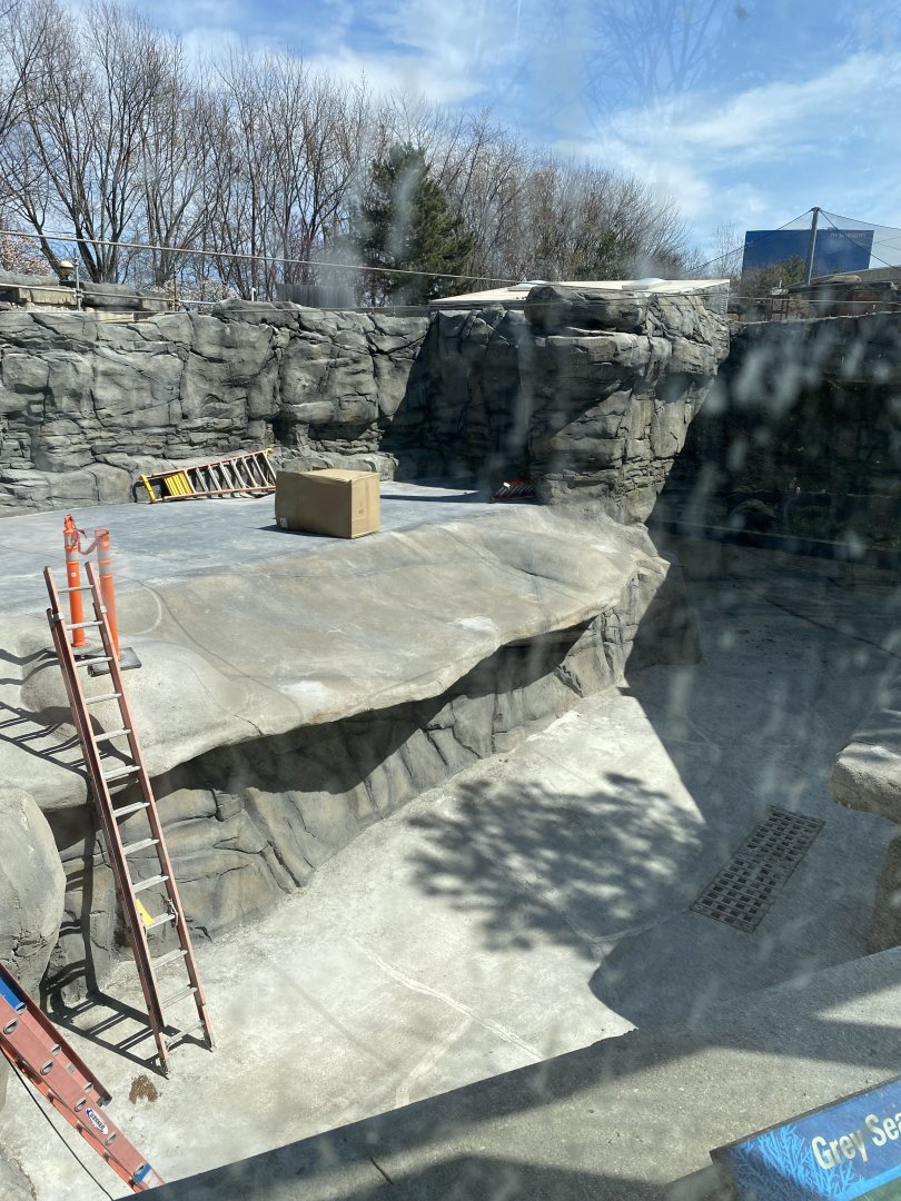 Walrus Habitat Left Side, 3-24-24