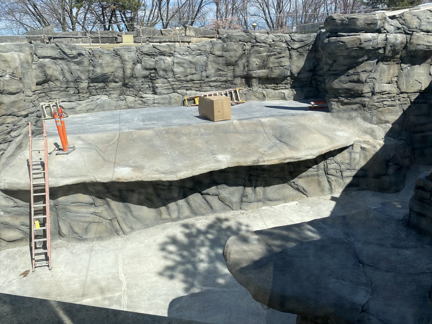 Walrus Habitat Right Side, 3-24-24