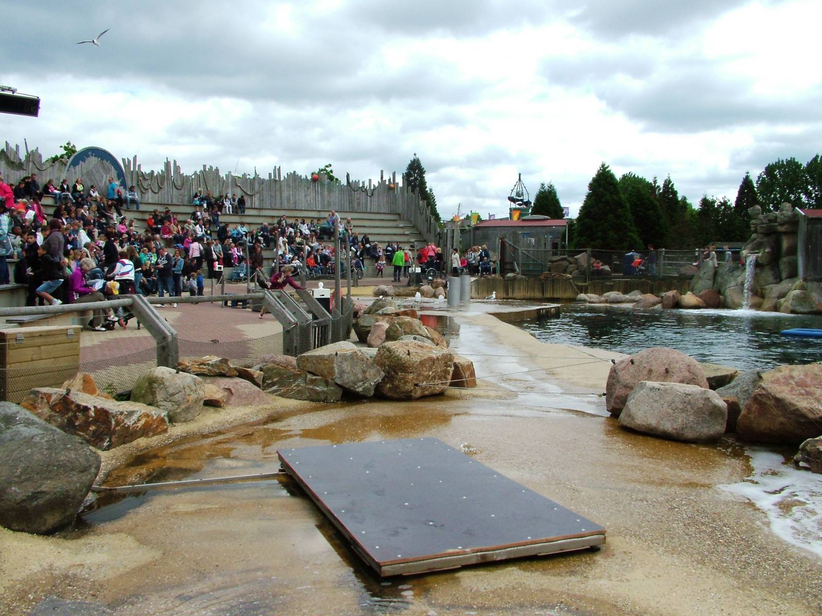 Walrus Show Seating at Harderwijk, 01/06/12