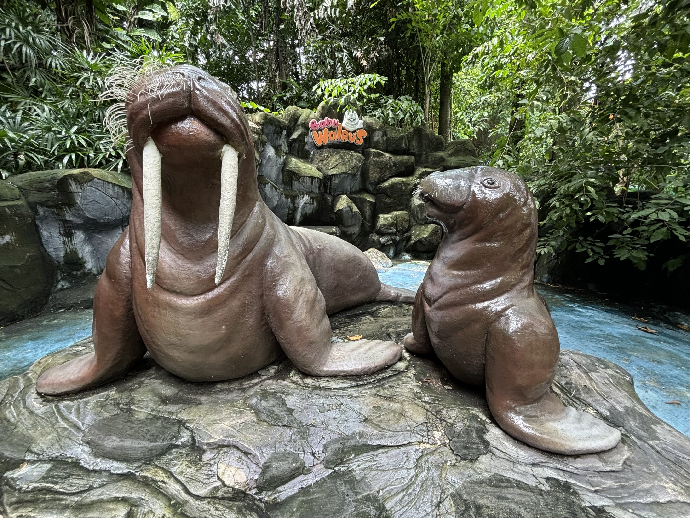 Walrus Statues