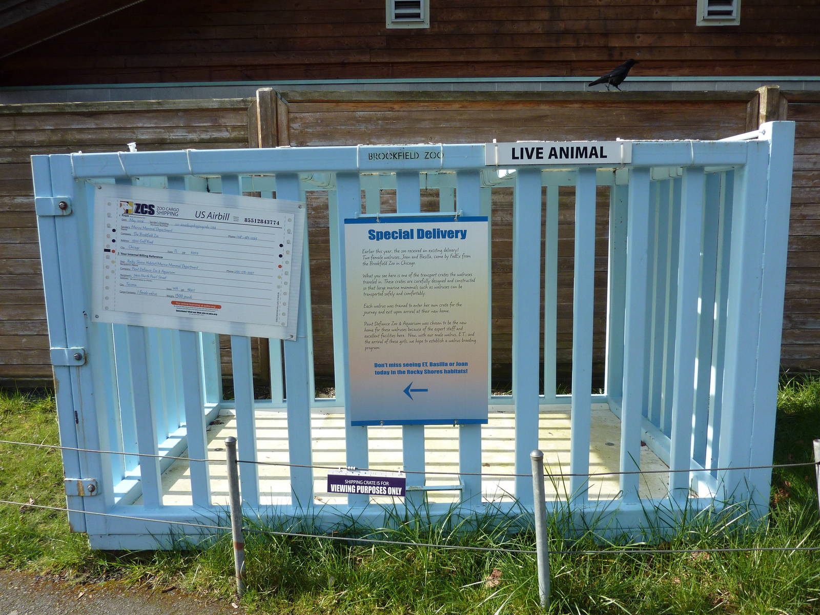 Walrus Transportation Crate