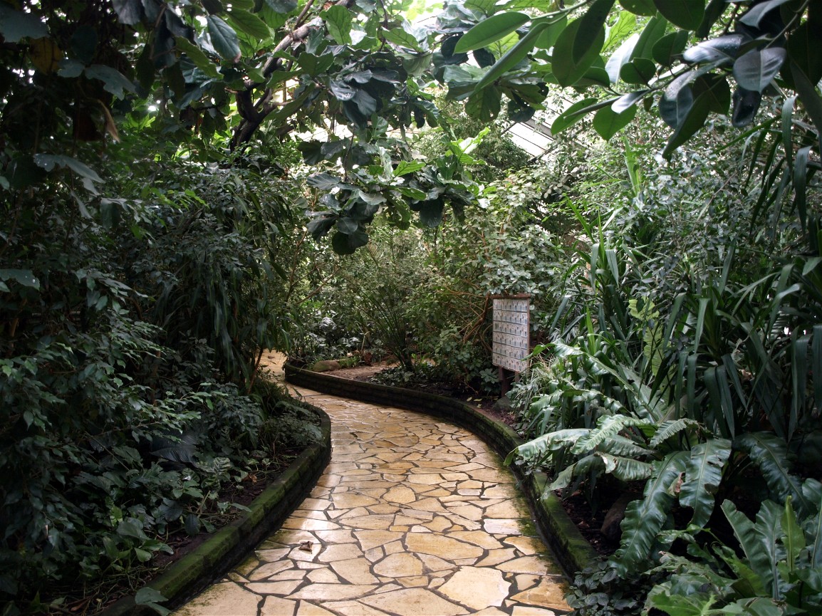 Walsrode Birdpark - Paradieshalle