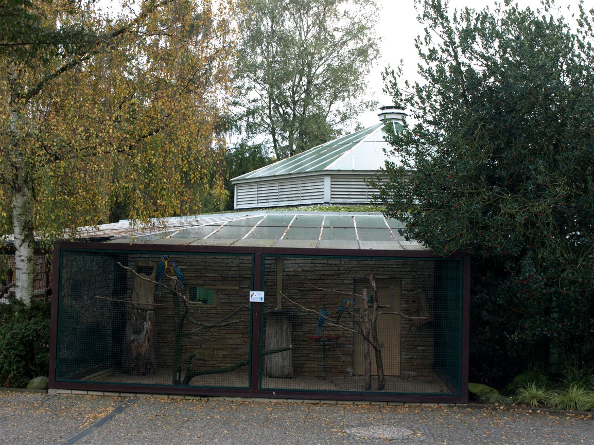 Walsrode Birdpark - Parrot House