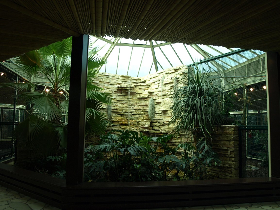 Walsrode Birdpark - Parrot House