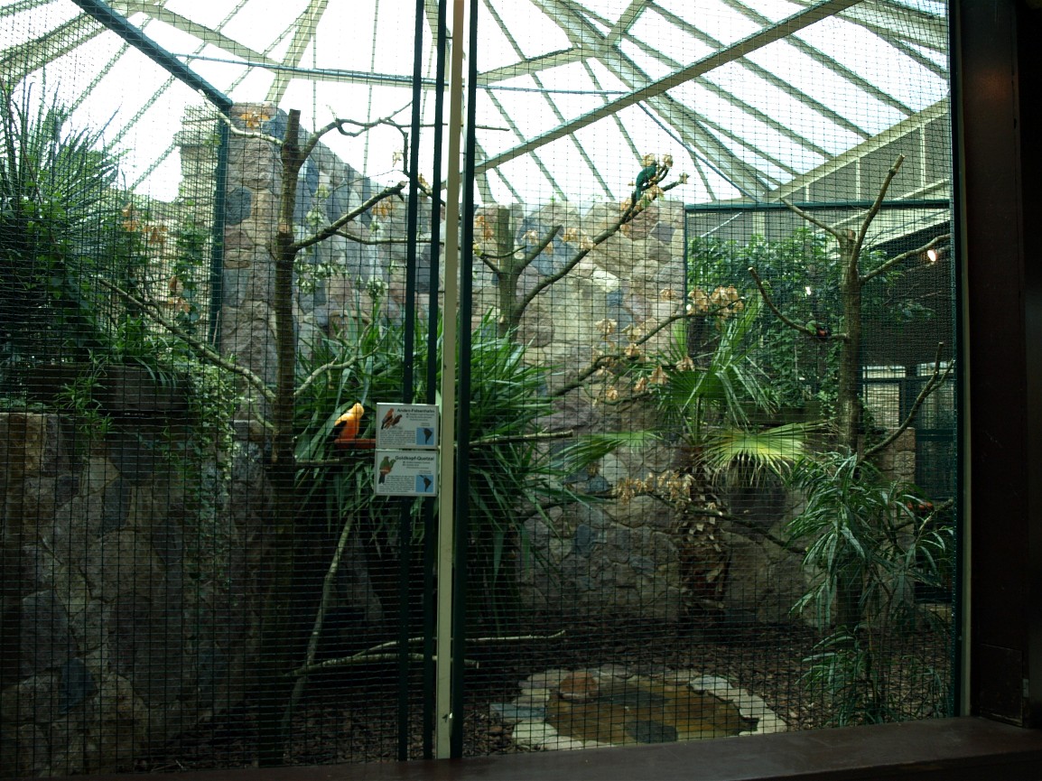Walsrode Birdpark - Parrot House