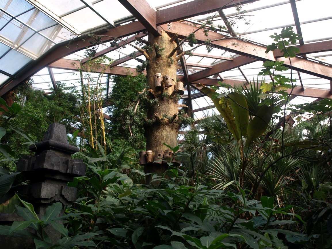 Walsrode Birdpark - Tropenwaldhalle