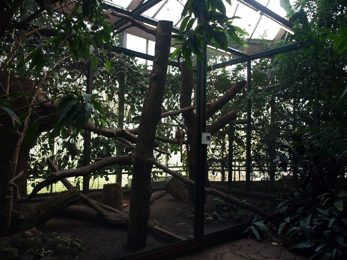 Walsrode Birdpark - Tropenwaldhalle