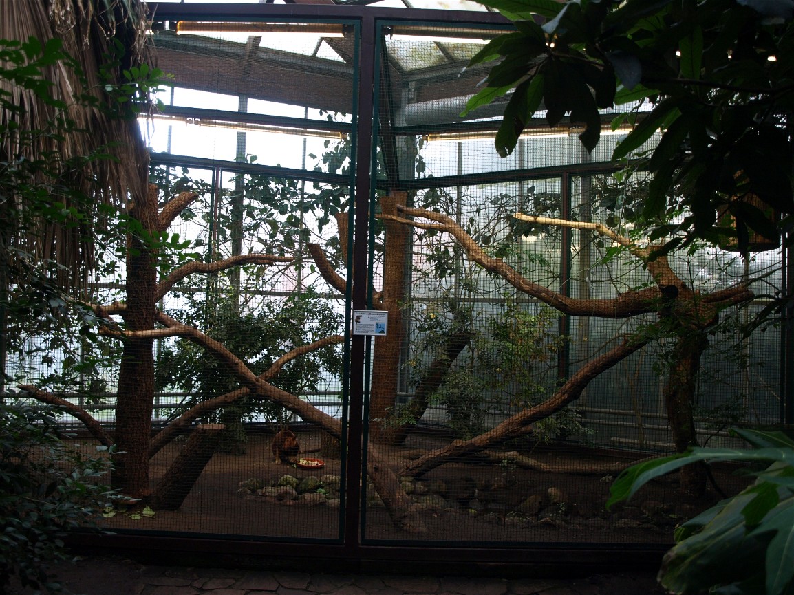 Walsrode Birdpark - Tropenwaldhalle