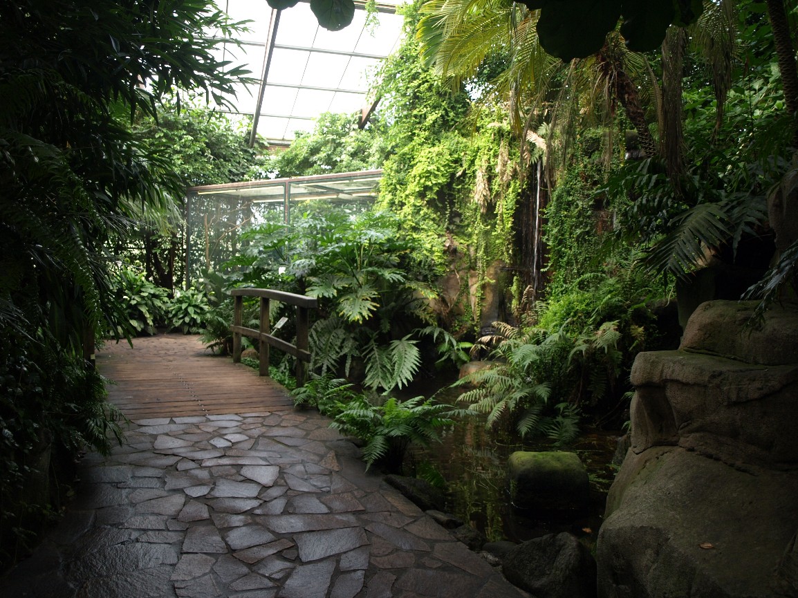 Walsrode Birdpark - Tropenwaldhalle