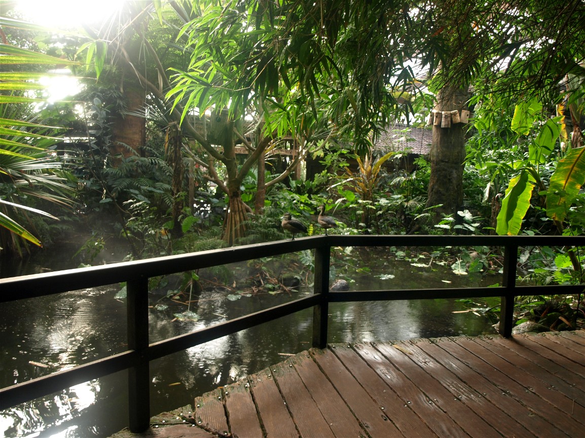 Walsrode Birdpark - Tropenwaldhalle