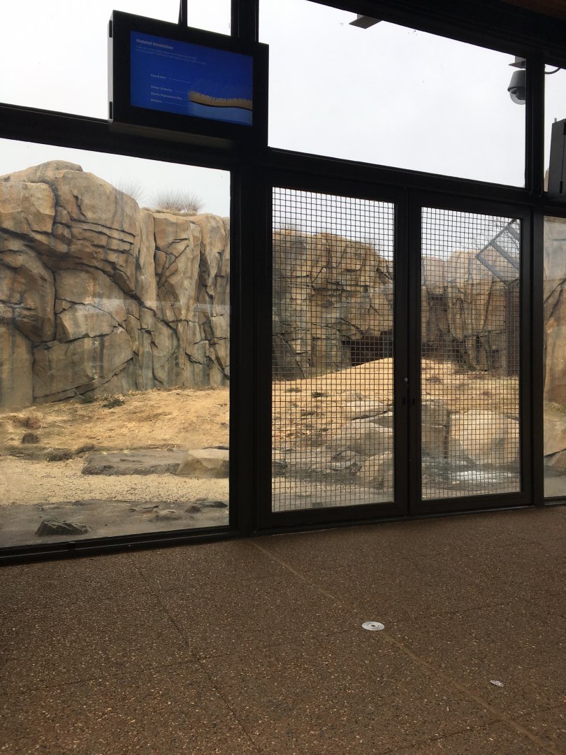 Walter Family Arctic Tundra - First Polar bear yard - View 1